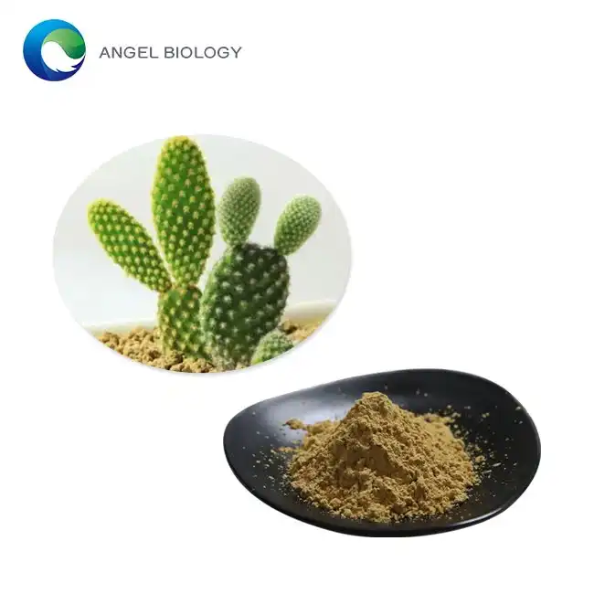 Does Cactus Extract Powder Have Hydrating Properties?